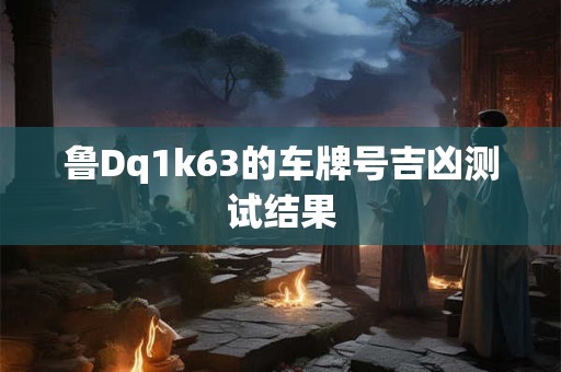 鲁Dq1k63的车牌号吉凶测试结果
