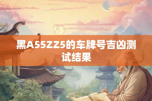 黑A55ZZ5的车牌号吉凶测试结果