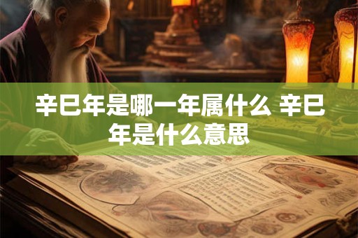 辛巳年是哪一年属什么 辛巳年是什么意思