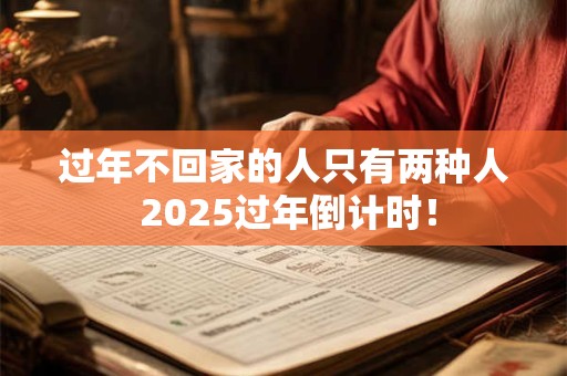 过年不回家的人只有两种人 2025过年倒计时！