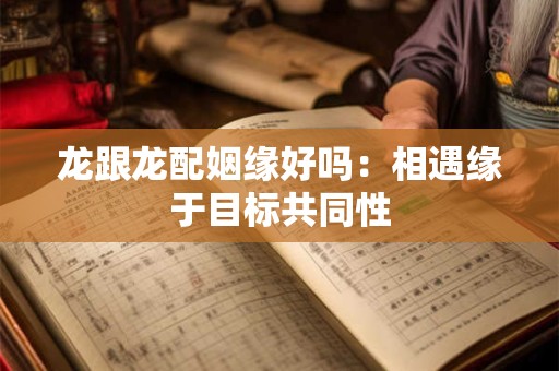 龙跟龙配姻缘好吗：相遇缘于目标共同性