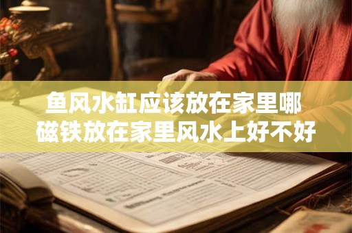 鱼风水缸应该放在家里哪 磁铁放在家里风水上好不好