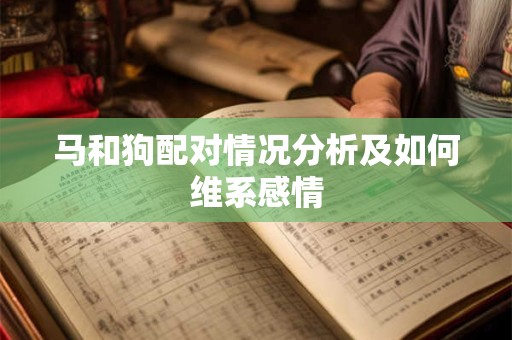 马和狗配对情况分析及如何维系感情