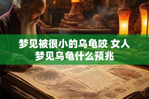 梦见被很小的乌龟咬 女人梦见乌龟什么预兆