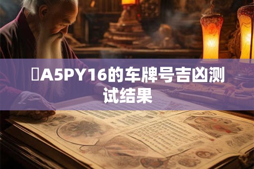 魯A5PY16的车牌号吉凶测试结果