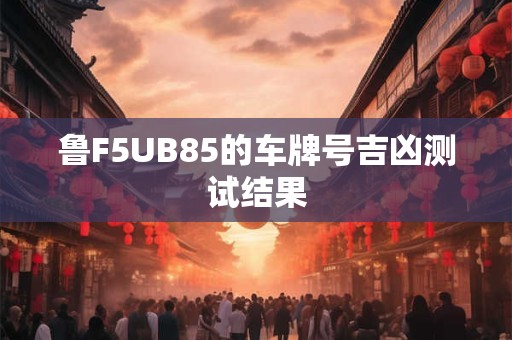 鲁F5UB85的车牌号吉凶测试结果