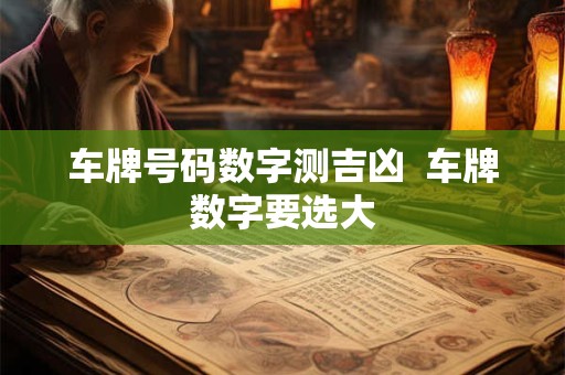 车牌号码数字测吉凶  车牌数字要选大