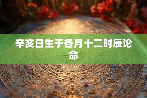 辛亥日生于各月十二时辰论命