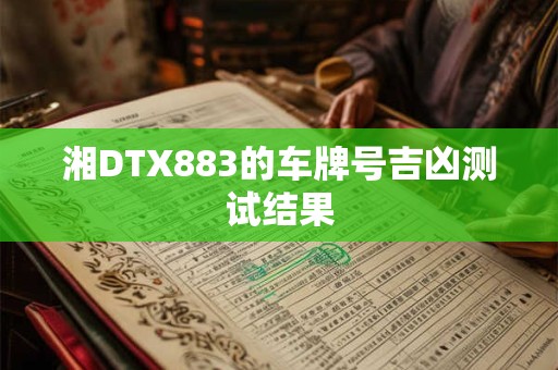 湘DTX883的车牌号吉凶测试结果