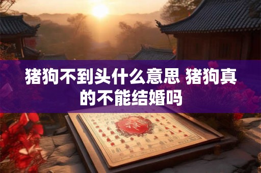 猪狗不到头什么意思 猪狗真的不能结婚吗