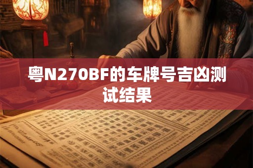 粤N270BF的车牌号吉凶测试结果