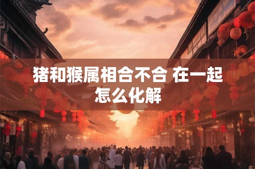 猪和猴属相合不合 在一起怎么化解