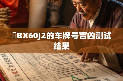 粵BX60J2的车牌号吉凶测试结果