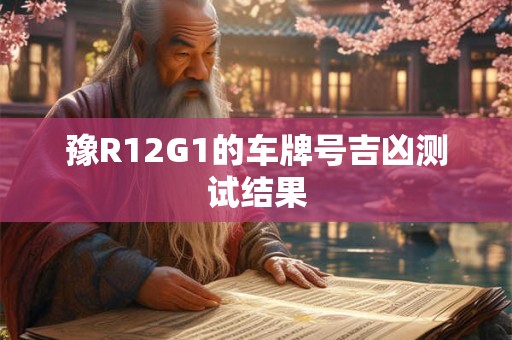 豫R12G1的车牌号吉凶测试结果