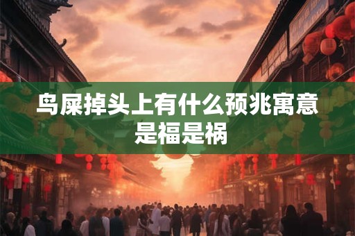 鸟屎掉头上有什么预兆寓意 是福是祸