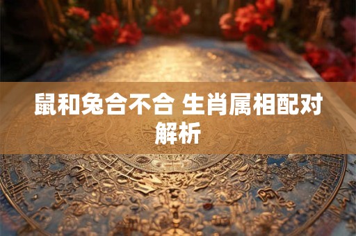鼠和兔合不合 生肖属相配对解析