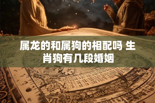 属龙的和属狗的相配吗 生肖狗有几段婚姻