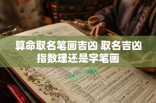 算命取名笔画吉凶 取名吉凶指数理还是字笔画