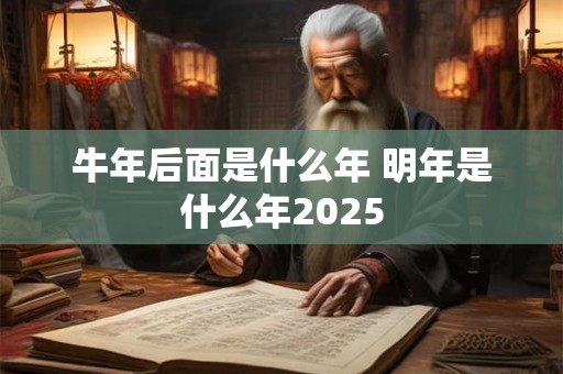 牛年后面是什么年 明年是什么年2025