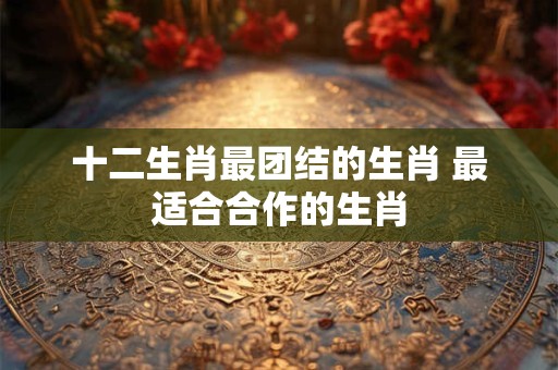 十二生肖最团结的生肖 最适合合作的生肖 十二生肖最团结的生肖 最适合合作的生肖