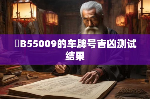 遼B55009的车牌号吉凶测试结果