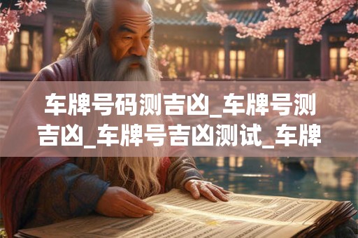 车牌号码测吉凶_车牌号测吉凶_车牌号吉凶测试_车牌号吉凶查询