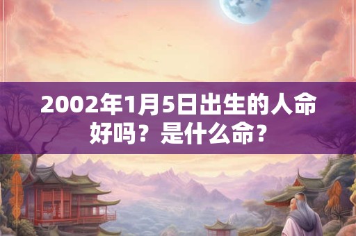 2002年1月5日出生的人命好吗？是什么命？