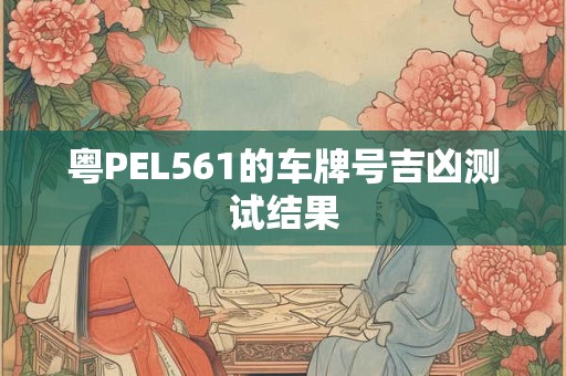 粤PEL561的车牌号吉凶测试结果