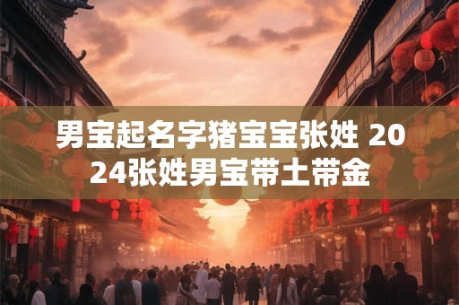 男宝起名字猪宝宝张姓 2024张姓男宝带土带金