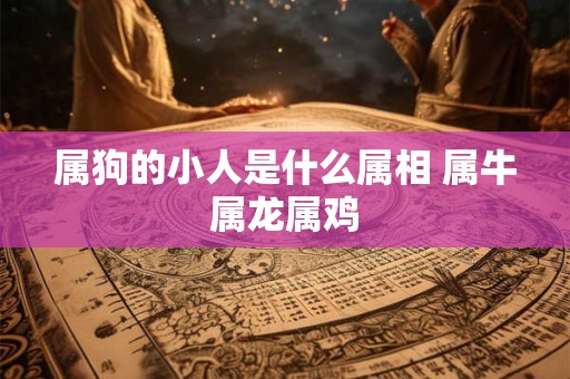 属狗的小人是什么属相 属牛属龙属鸡