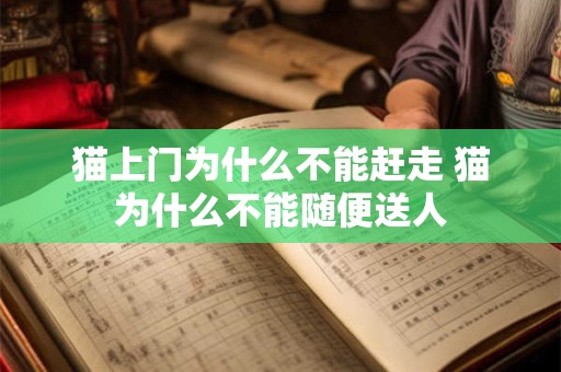 猫上门为什么不能赶走 猫为什么不能随便送人