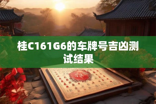 桂C161G6的车牌号吉凶测试结果