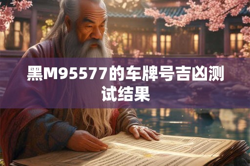 黑M95577的车牌号吉凶测试结果