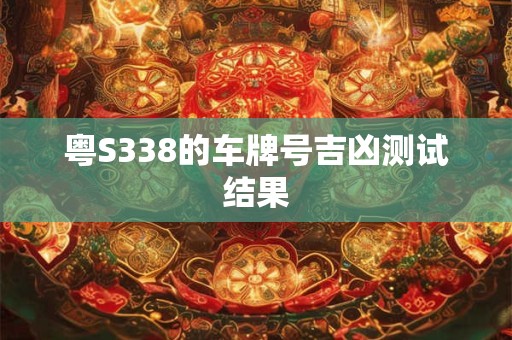粤S338的车牌号吉凶测试结果