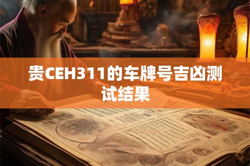 详细阅读:贵CEH311的车牌号吉凶测试结果 贵CEH311的车牌号吉凶测试结果