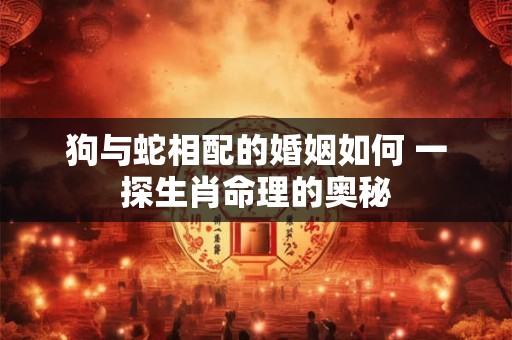 狗与蛇相配的婚姻如何 一探生肖命理的奥秘