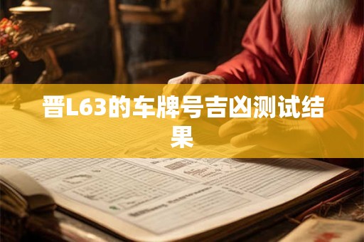 晋L63的车牌号吉凶测试结果