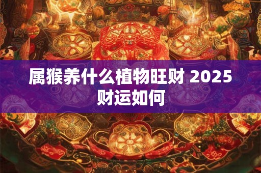 属猴养什么植物旺财 2025财运如何