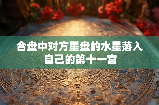 合盘中对方星盘的水星落入自己的第十一宫