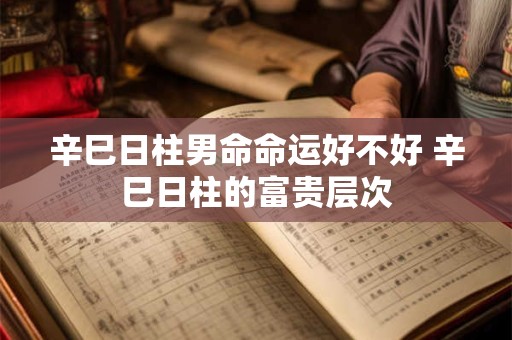 辛巳日柱男命命运好不好 辛巳日柱的富贵层次
