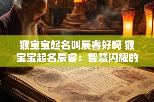 猴宝宝起名叫辰睿好吗 猴宝宝起名辰睿：智慧闪耀的星辰