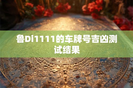 鲁Di1111的车牌号吉凶测试结果