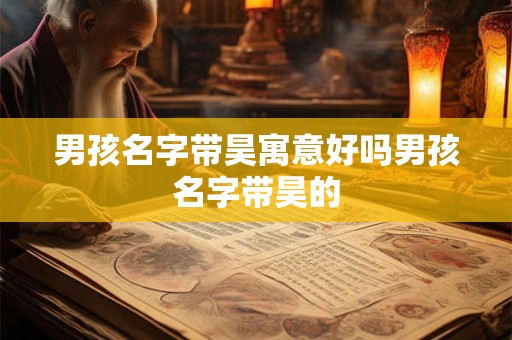 男孩名字带昊寓意好吗男孩名字带昊的
