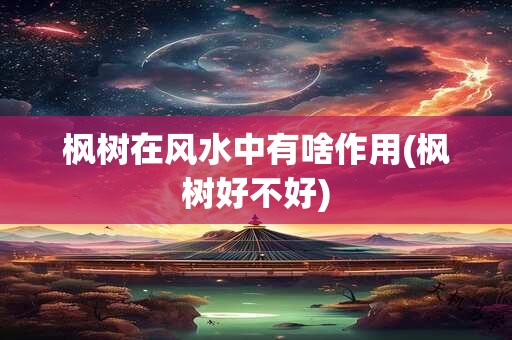 枫树在风水中有啥作用(枫树好不好)