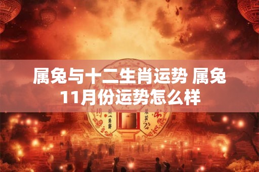 属兔与十二生肖运势 属兔11月份运势怎么样