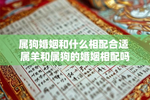 属狗婚姻和什么相配合适 属羊和属狗的婚姻相配吗