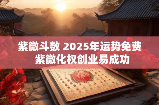 紫微斗数 2025年运势免费  紫微化权创业易成功