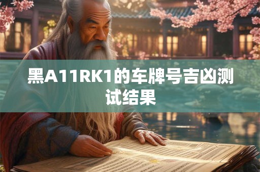 黑A11RK1的车牌号吉凶测试结果