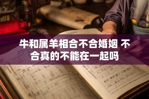 牛和属羊相合不合婚姻 不合真的不能在一起吗