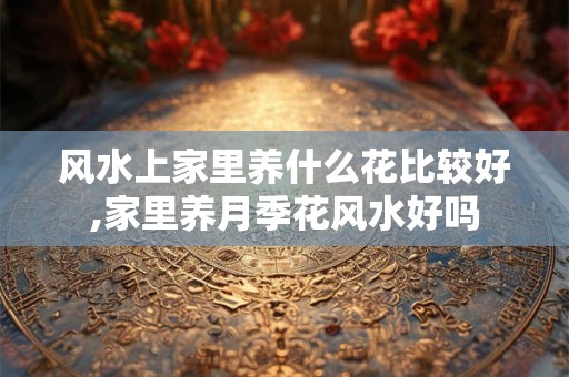 风水上家里养什么花比较好,家里养月季花风水好吗
